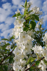 Similar image 21908752