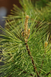 Similar image 21908754