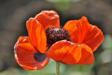 Similar image 21908758