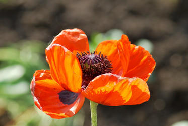 Similar image 21908759