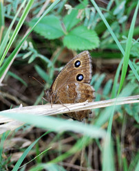 Similar image 21908893