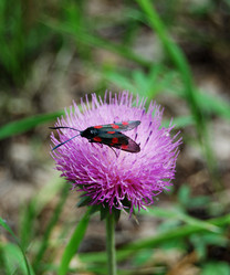 Similar image 21908894