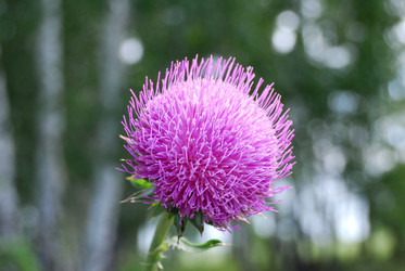 Similar image 21908895