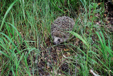 Similar image 21908897