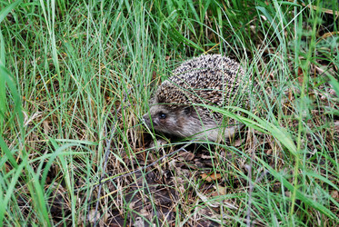 Similar image 21908898