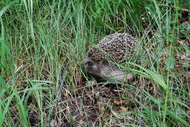 Similar image 21908900