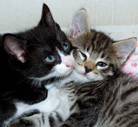 Similar image 21908903