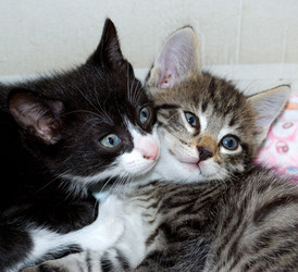 Similar image 21908904