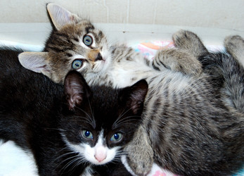 Similar image 21908905