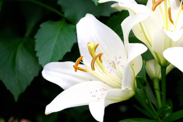 Similar image 21908907