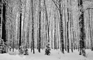 Similar image 21910972