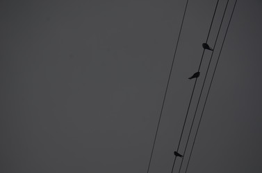 Similar image 21909599