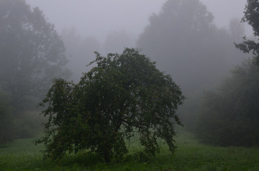 Similar image 21909604