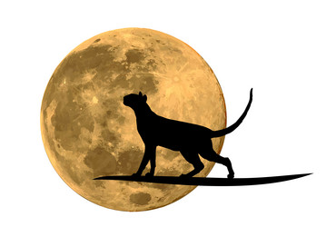 Similar image 21910974