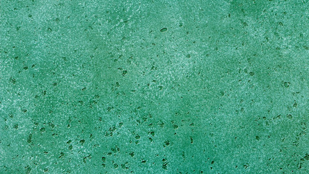 Similar image 21909619