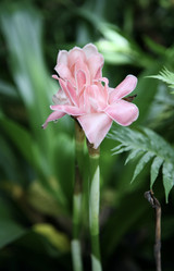 Similar image 21910979