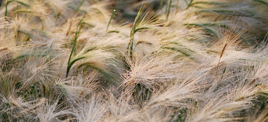 Similar image 21911134