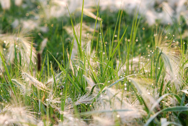 Similar image 21911135