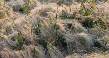 Similar image 21911141