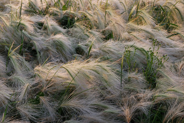 Similar image 21911142