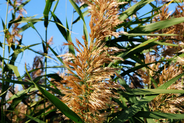 Similar image 21911148