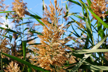 Similar image 21911149