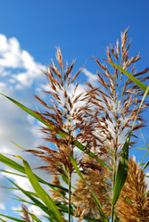 Similar image 21911150