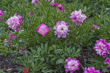 Similar image 21911170