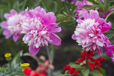 Similar image 21911171