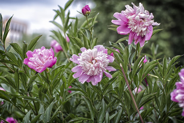 Similar image 21911172