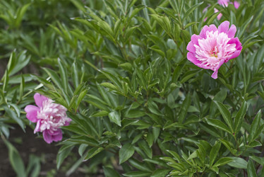 Similar image 21911173