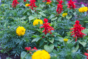 Similar image 21911175