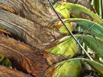 Similar image 21911179