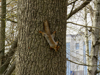 Similar image 21910980