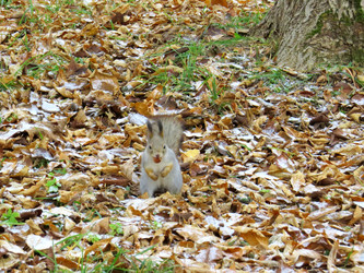 Similar image 21910981