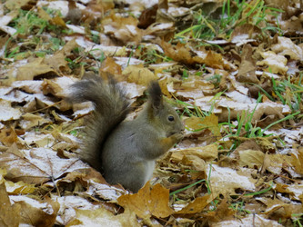 Similar image 21910982