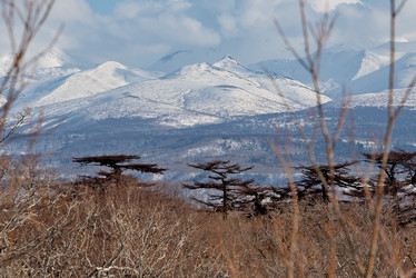 Similar image 21911402