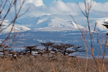 Similar image 21911403