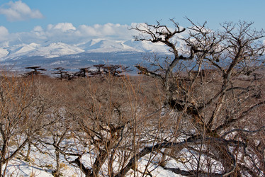 Similar image 21911404