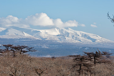 Similar image 21911405