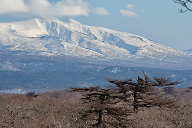 Similar image 21911406