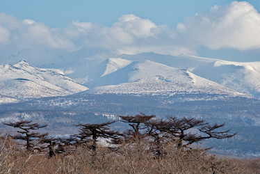 Similar image 21911407