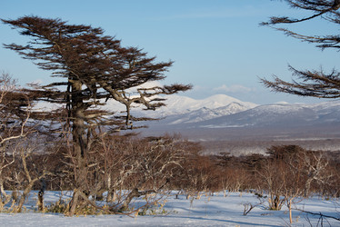 Similar image 21911408