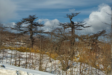 Similar image 21911409