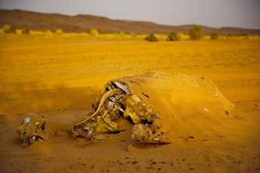 Similar image 21911410