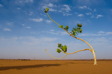 Similar image 21911419