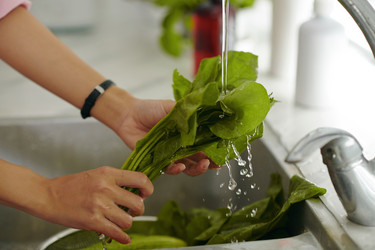 Similar image 21920976