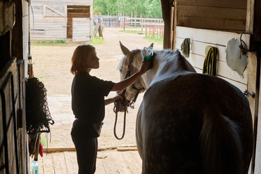 Similar image 21918503