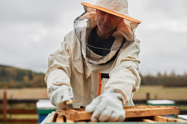 Similar image 21922306