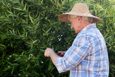 Similar image 21922076